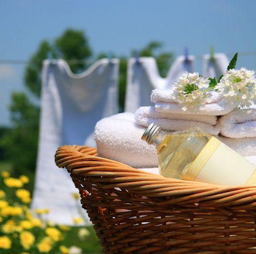 Clean Cotton Fragrance Oil